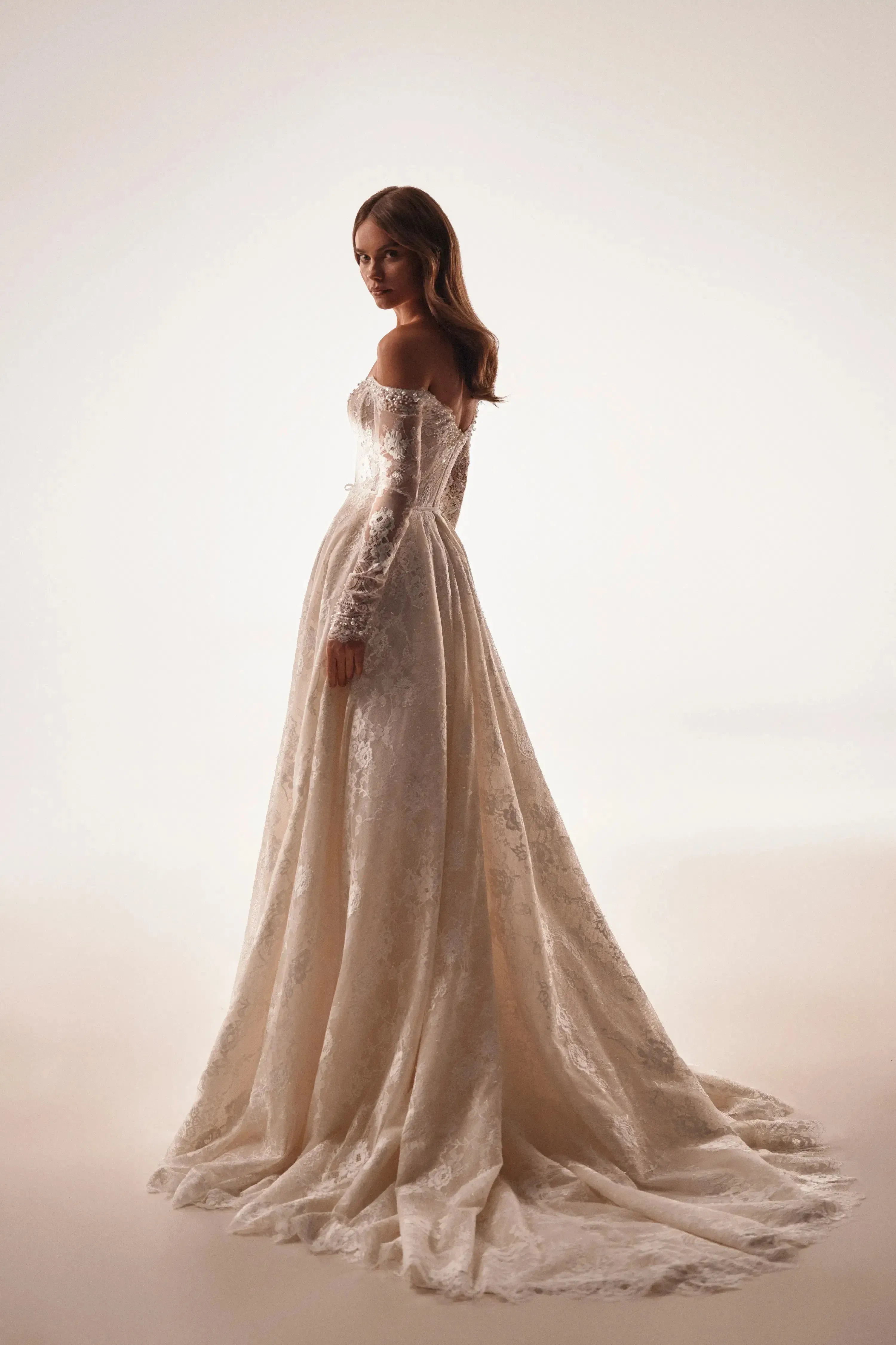 Dominic - Aline Lace Wedding Dress with Sleeves