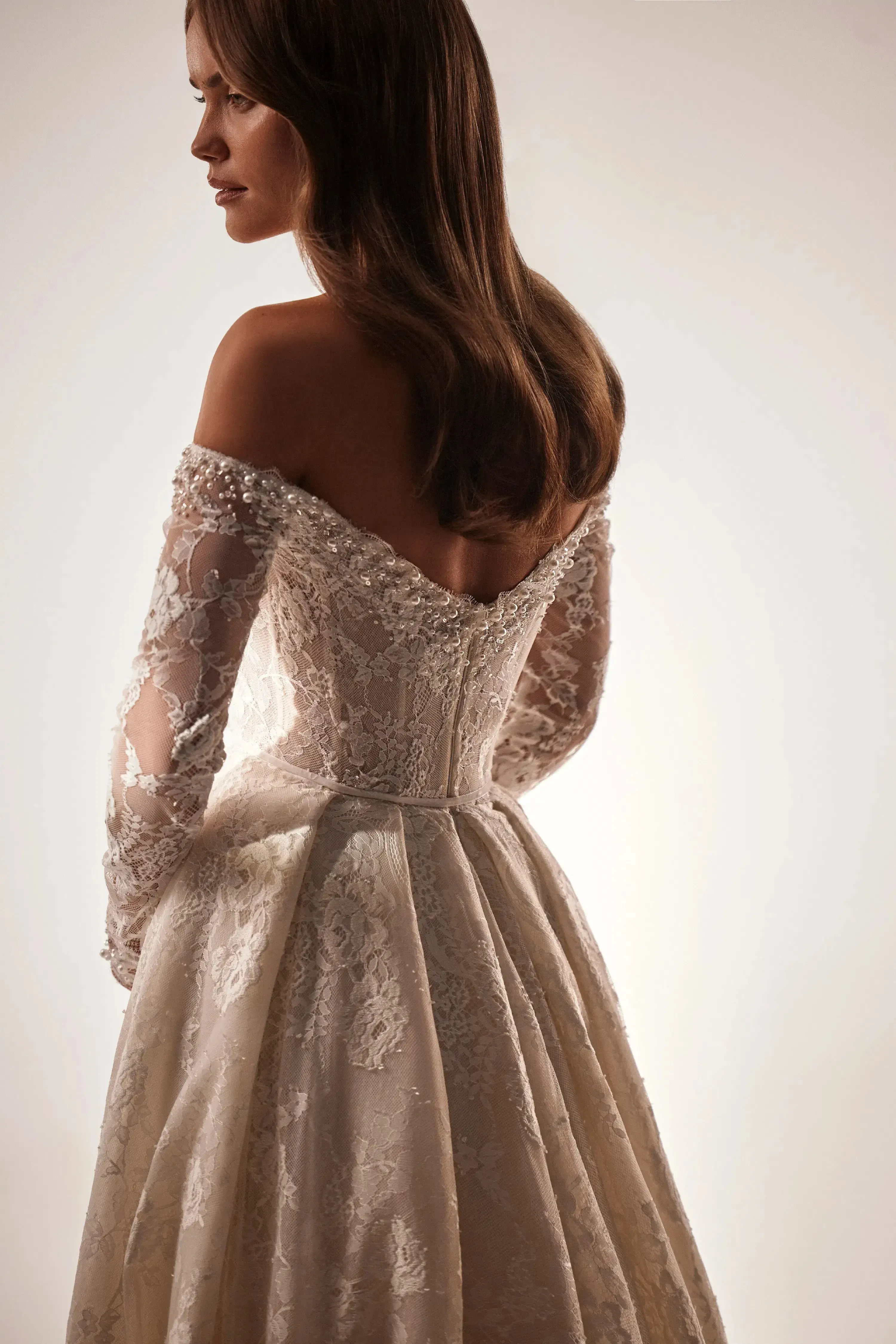 Dominic - Aline Lace Wedding Dress with Sleeves