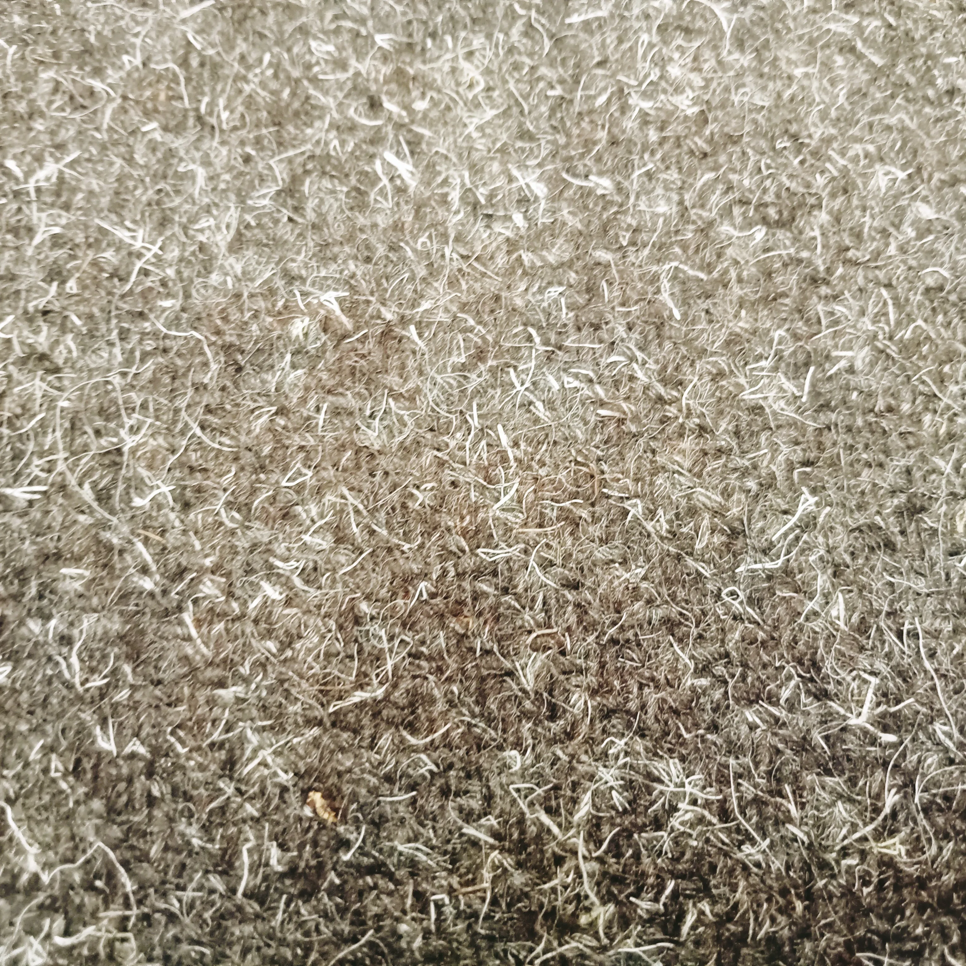 mohair wool fabric - 100% wool - sold by 1/2mtr