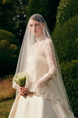 Pleione Bridal Veil
